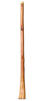 Wix Stix Didgeridoo (WS191)